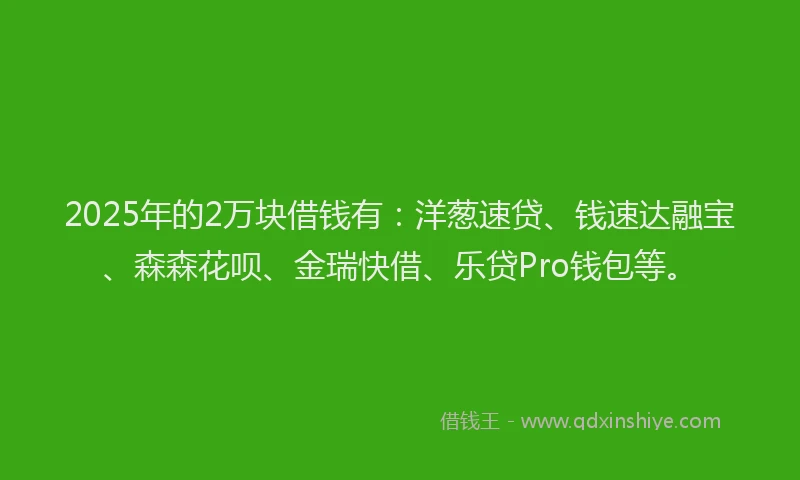 2025年的2万块借钱有：洋葱速贷、钱速达融宝、森森花呗、金瑞快借、乐贷Pro钱包等。