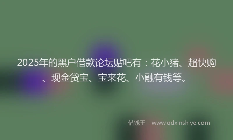 2025年的黑户借款论坛贴吧有：花小猪、超快购、现金贷宝、宝来花、小融有钱等。