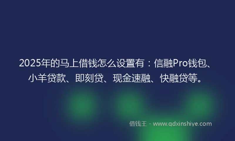 2025年的马上借钱怎么设置有：信融Pro钱包、小羊贷款、即刻贷、现金速融、快融贷等。