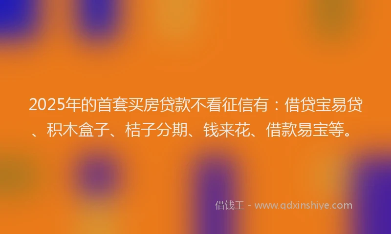 2025年的首套买房贷款不看征信有：借贷宝易贷、积木盒子、桔子分期、钱来花、借款易宝等。