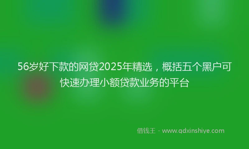 56岁好下款的网贷2025年精选，概括五个黑户可快速办理小额贷款业务的平台