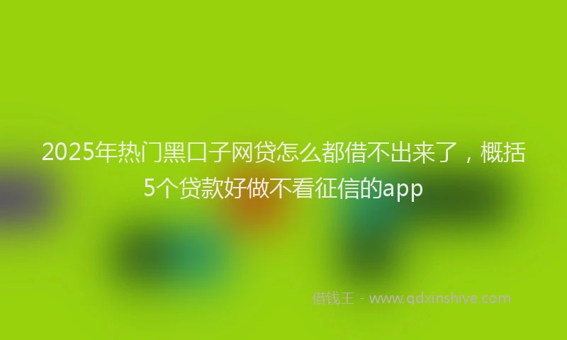 2025年热门黑口子网贷怎么都借不出来了，概括5个贷款好做不看征信的app