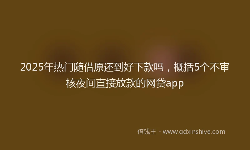 2025年热门随借原还到好下款吗，概括5个不审核夜间直接放款的网贷app