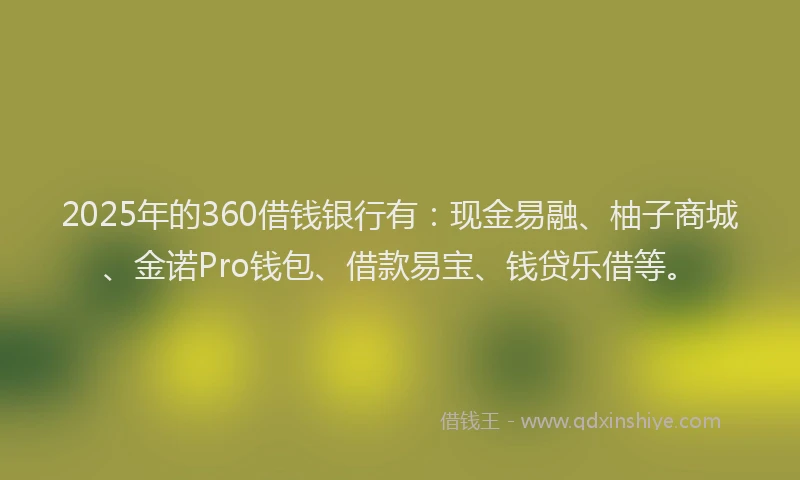2025年的360借钱银行有：现金易融、柚子商城、金诺Pro钱包、借款易宝、钱贷乐借等。