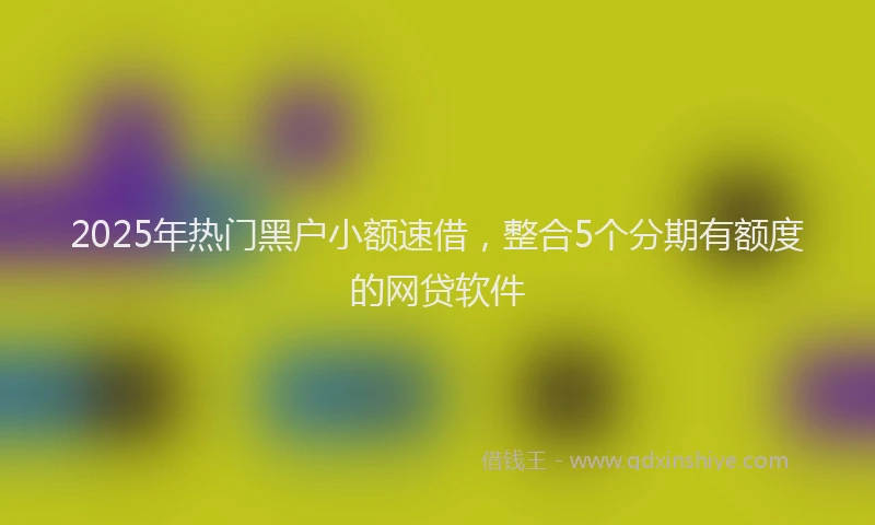 2025年热门黑户小额速借，整合5个分期有额度的网贷软件