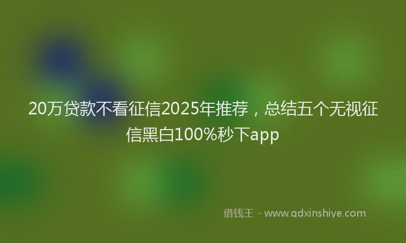 20万贷款不看征信2025年推荐，总结五个无视征信黑白100%秒下app