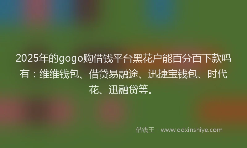 2025年的gogo购借钱平台黑花户能百分百下款吗有：维维钱包、借贷易融途、迅捷宝钱包、时代花、迅融贷等。