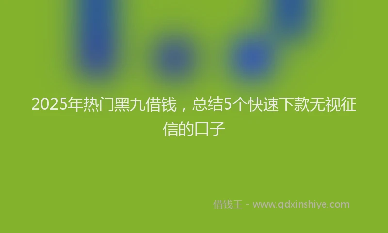 2025年热门黑九借钱，总结5个快速下款无视征信的口子