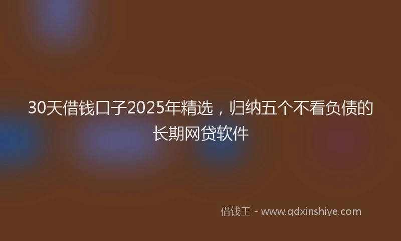 30天借钱口子2025年精选，归纳五个不看负债的长期网贷软件