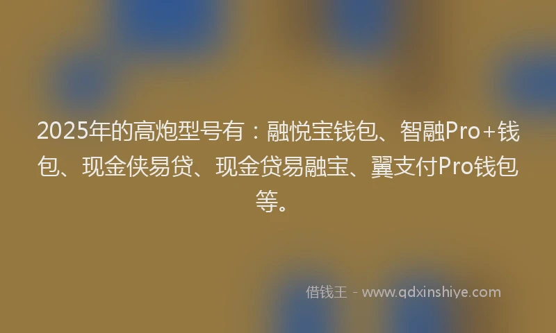 2025年的高炮型号有：融悦宝钱包、智融Pro+钱包、现金侠易贷、现金贷易融宝、翼支付Pro钱包等。