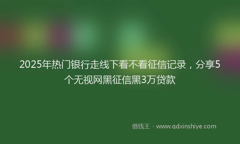 2025年热门银行走线下看不看征信记录，分享5个无视网黑征信黑3万贷款