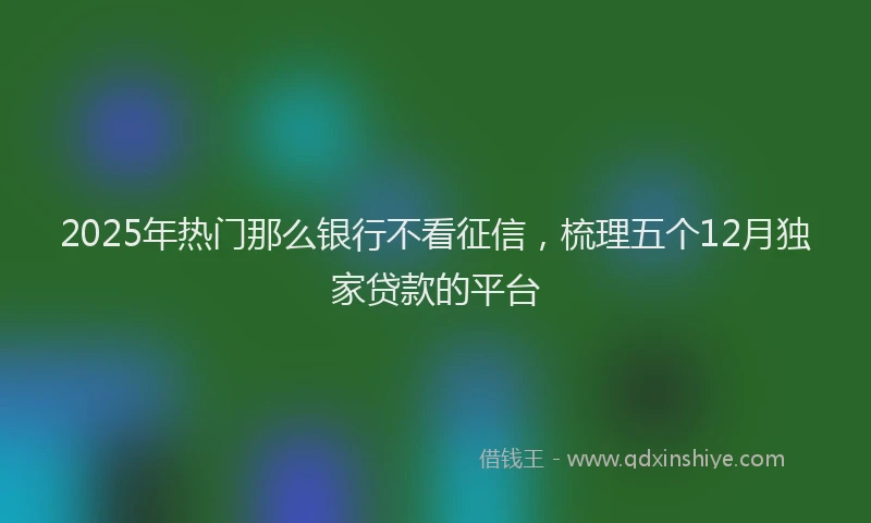 2025年热门那么银行不看征信，梳理五个12月独家贷款的平台