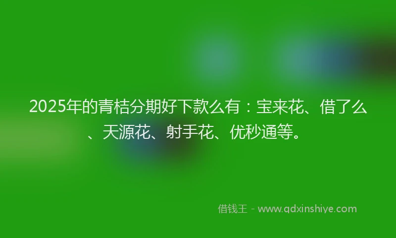 2025年的青桔分期好下款么有：宝来花、借了么、天源花、射手花、优秒通等。