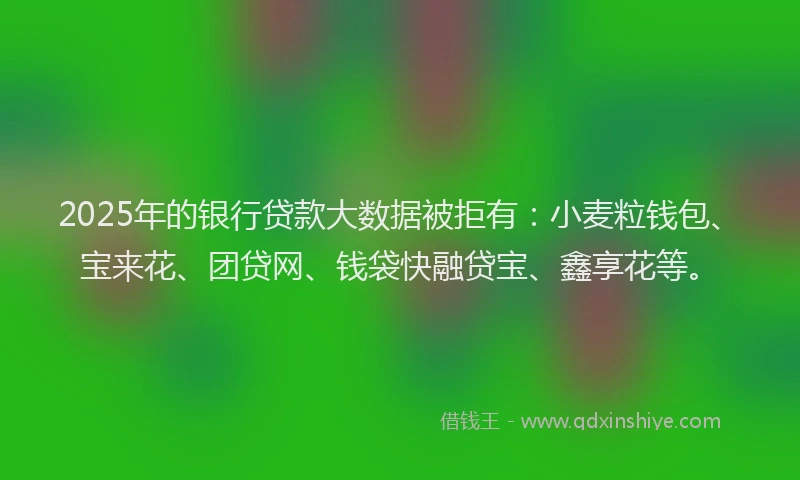 2025年的银行贷款大数据被拒有:小麦粒钱包、宝来花、团贷网、钱袋快融贷宝、鑫享花等。
