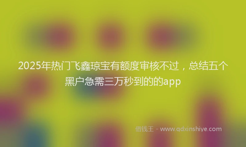 2025年热门飞鑫琼宝有额度审核不过，总结五个黑户急需三万秒到的的app