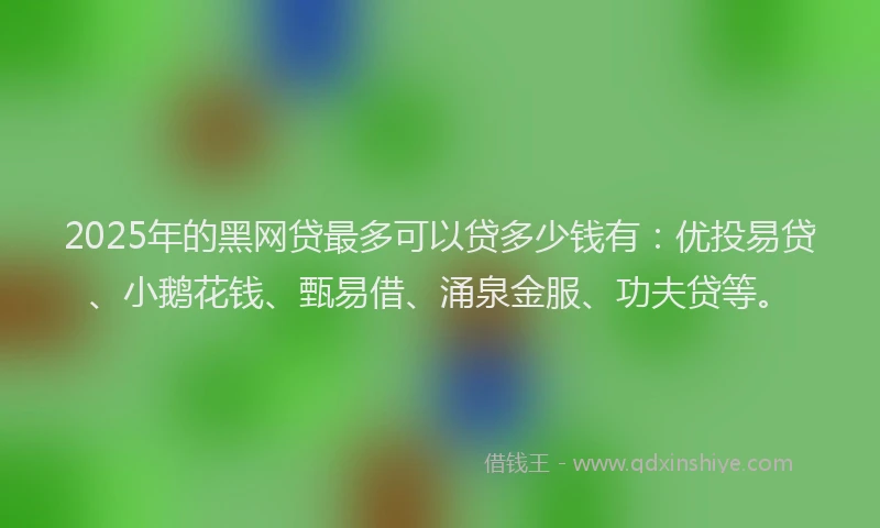 2025年的黑网贷最多可以贷多少钱有：优投易贷、小鹅花钱、甄易借、涌泉金服、功夫贷等。