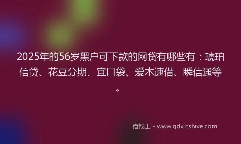 2025年的56岁黑户可下款的网贷有哪些有：琥珀信贷、花豆分期、宜口袋、爱木速借、瞬信通等。