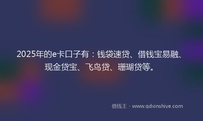 2025年的e卡口子有：钱袋速贷、借钱宝易融、现金贷宝、飞鸟贷、珊瑚贷等。