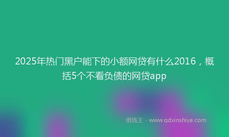 2025年热门黑户能下的小额网贷有什么2016，概括5个不看负债的网贷app