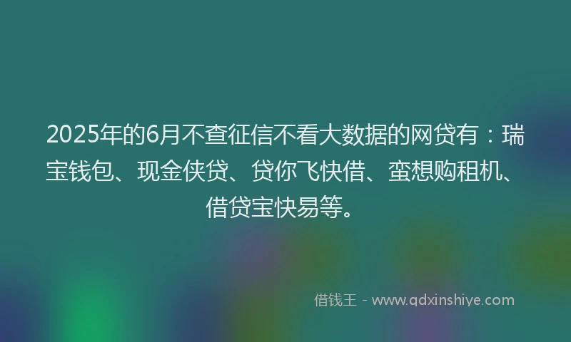 2025年的6月不查征信不看大数据的网贷有：瑞宝钱包、现金侠贷、贷你飞快借、蛮想购租机、借贷宝快易等。