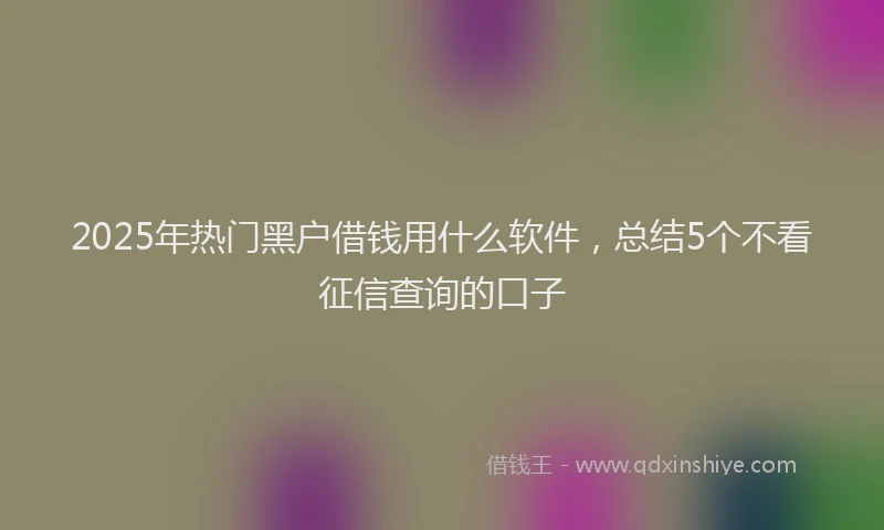 2025年热门黑户借钱用什么软件，总结5个不看征信查询的口子