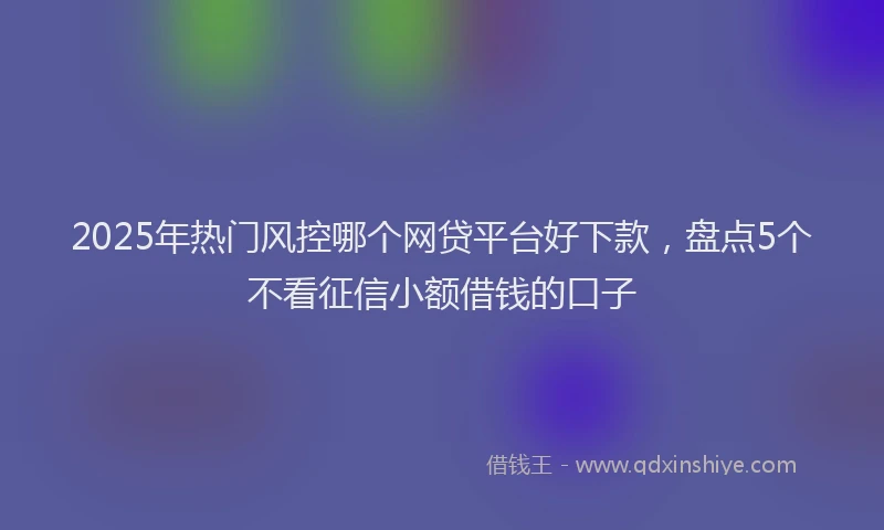 2025年热门风控哪个网贷平台好下款，盘点5个不看征信小额借钱的口子