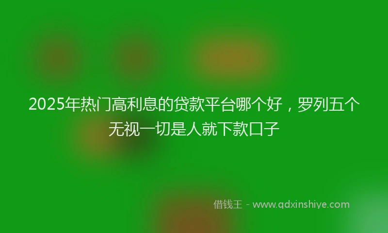 2025年热门高利息的贷款平台哪个好，罗列五个无视一切是人就下款口子