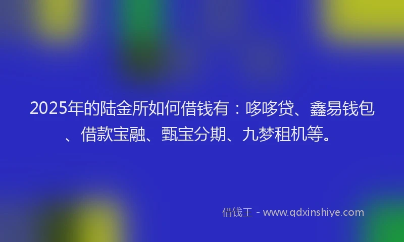 2025年的陆金所如何借钱有：哆哆贷、鑫易钱包、借款宝融、甄宝分期、九梦租机等。