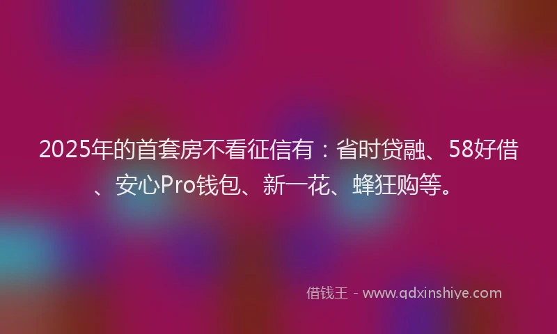 2025年的首套房不看征信有：省时贷融、58好借、安心Pro钱包、新一花、蜂狂购等。