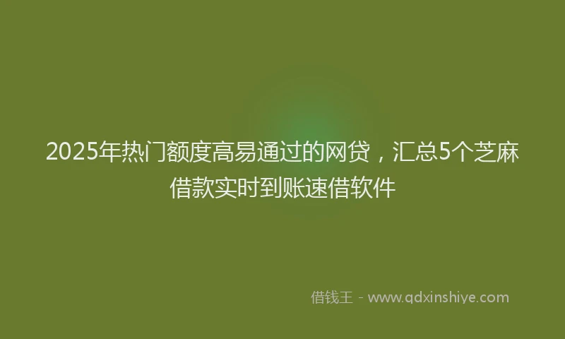 2025年热门额度高易通过的网贷，汇总5个芝麻借款实时到账速借软件