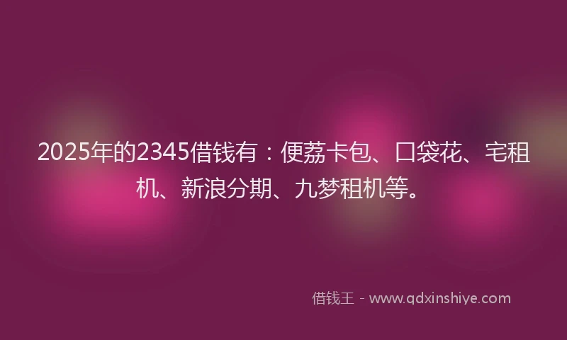 2025年的2345借钱有：便荔卡包、口袋花、宅租机、新浪分期、九梦租机等。