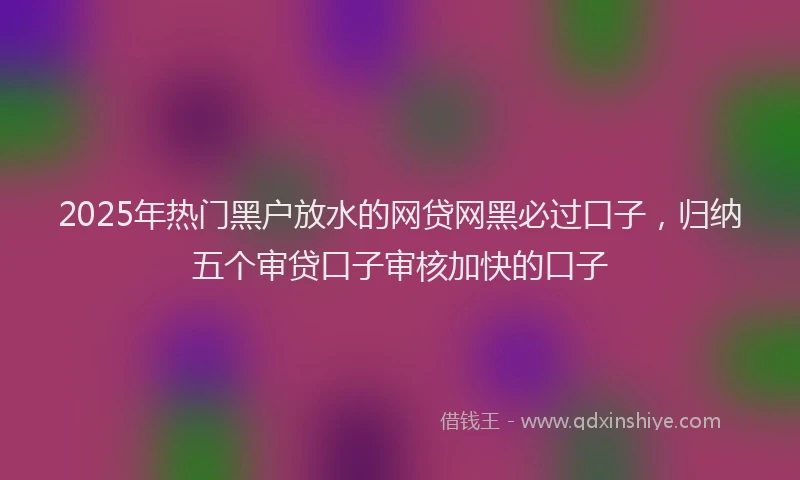 2025年热门黑户放水的网贷网黑必过口子，归纳五个审贷口子审核加快的口子
