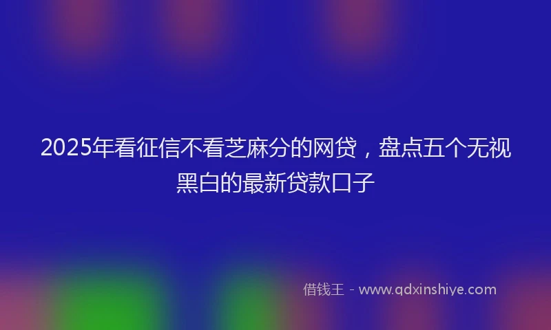 2025年看征信不看芝麻分的网贷，盘点五个无视黑白的最新贷款口子