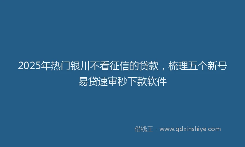 2025年热门银川不看征信的贷款，梳理五个新号易贷速审秒下款软件