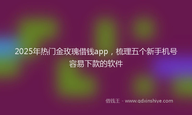 2025年热门金玫瑰借钱app，梳理五个新手机号容易下款的软件