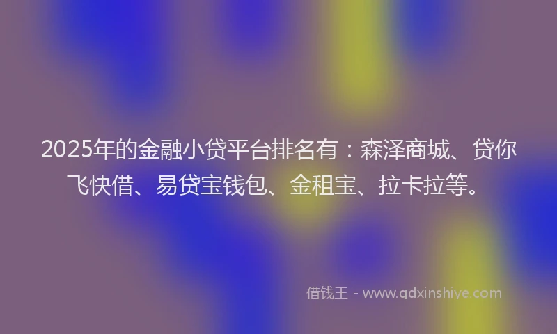2025年的金融小贷平台排名有：森泽商城、贷你飞快借、易贷宝钱包、金租宝、拉卡拉等。