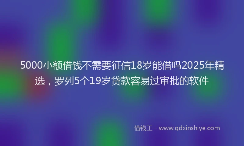 5000小额借钱不需要征信18岁能借吗2025年精选，罗列5个19岁贷款容易过审批的软件
