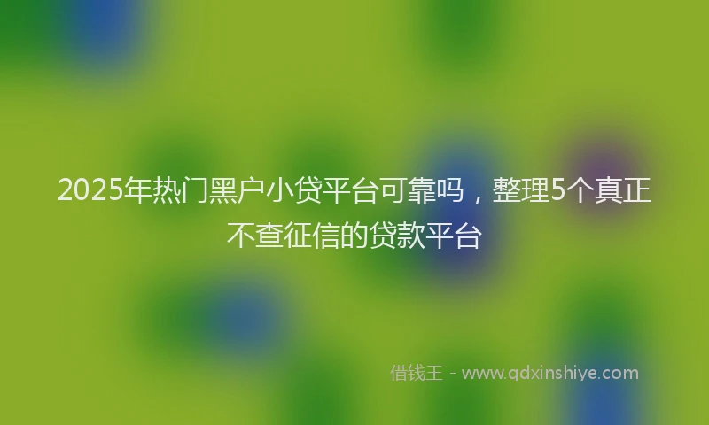 2025年热门黑户小贷平台可靠吗，整理5个真正不查征信的贷款平台