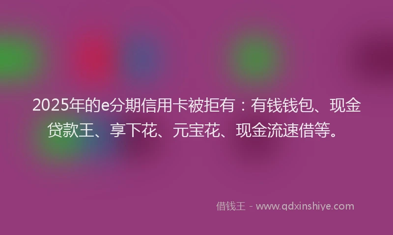 2025年的e分期信用卡被拒有：有钱钱包、现金贷款王、享下花、元宝花、现金流速借等。