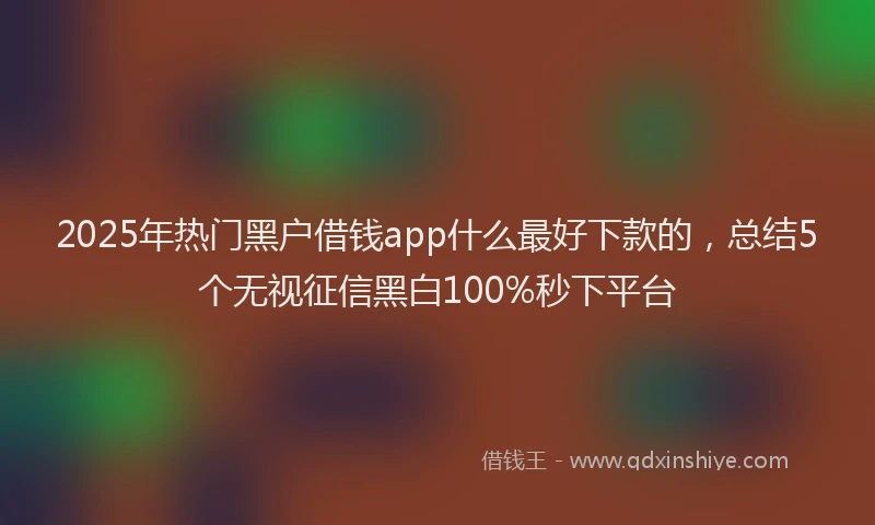 2025年热门黑户借钱app什么最好下款的，总结5个无视征信黑白100%秒下平台