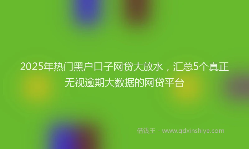 2025年热门黑户口子网贷大放水，汇总5个真正无视逾期大数据的网贷平台