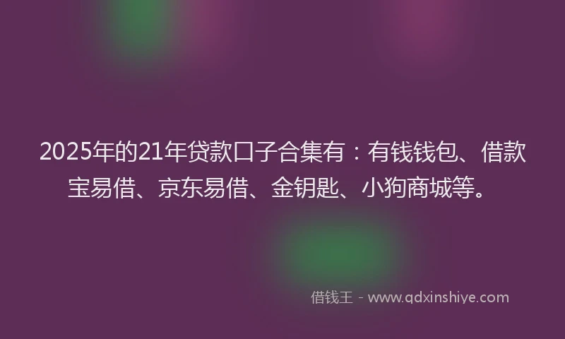 2025年的21年贷款口子合集有：有钱钱包、借款宝易借、京东易借、金钥匙、小狗商城等。