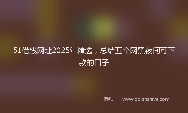 51借钱网址2025年精选，总结五个网黑夜间可下款的口子