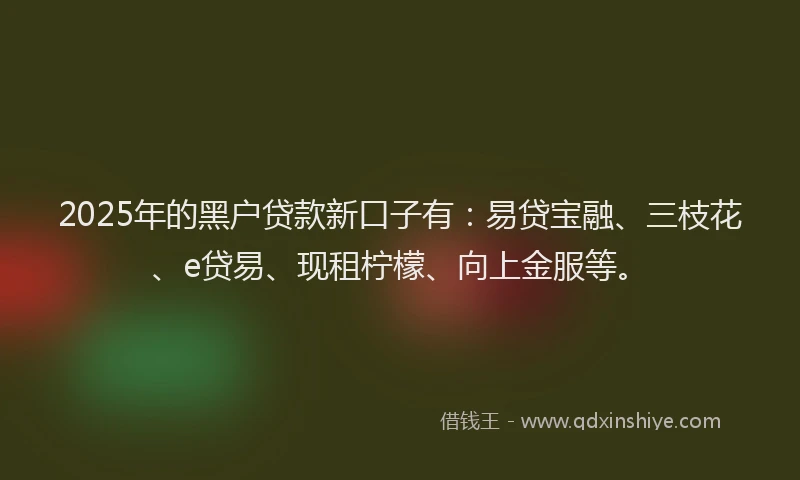 2025年的黑户贷款新口子有：易贷宝融、三枝花、e贷易、现租柠檬、向上金服等。