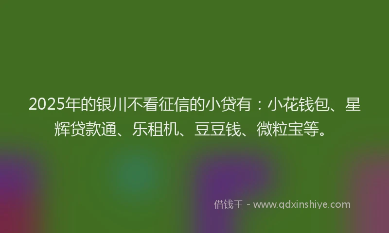 2025年的银川不看征信的小贷有：小花钱包、星辉贷款通、乐租机、豆豆钱、微粒宝等。