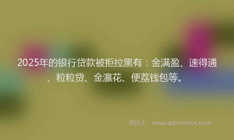 2025年的银行贷款被拒拉黑有:金满盈、速得通、粒粒贷、金瀛花、便荔钱包等。