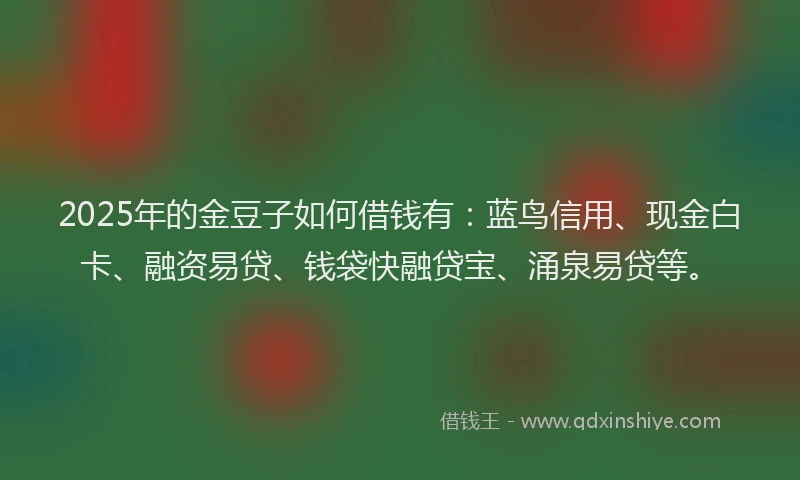 2025年的金豆子如何借钱有：蓝鸟信用、现金白卡、融资易贷、钱袋快融贷宝、涌泉易贷等。
