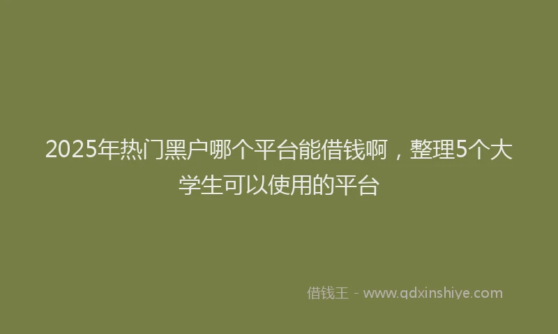 2025年热门黑户哪个平台能借钱啊，整理5个大学生可以使用的平台