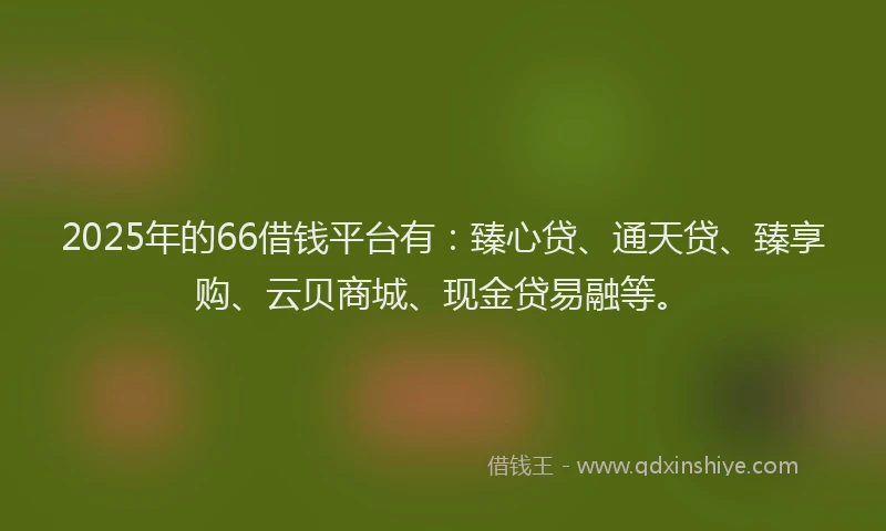 2025年的66借钱平台有：臻心贷、通天贷、臻享购、云贝商城、现金贷易融等。