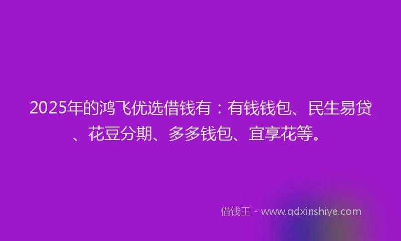 2025年的鸿飞优选借钱有：有钱钱包、民生易贷、花豆分期、多多钱包、宜享花等。